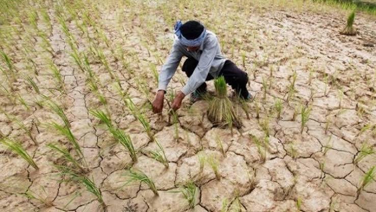 Deficient Monsoon Rainfall Raises Drought Concerns Across India ...